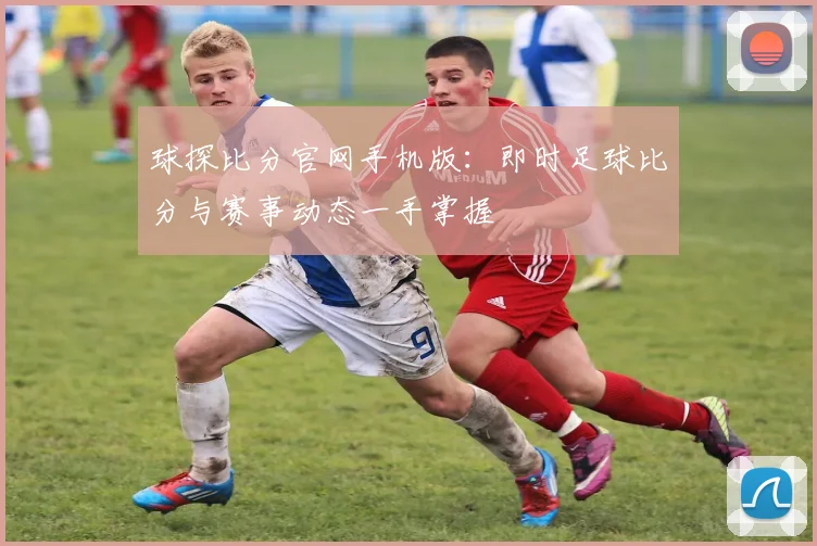 球探比分官网手机版：即时足球比分与赛事动态一手掌握
